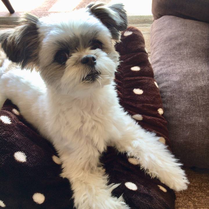 9edae992 b85a 420d 95fc c2652b9dff78 1510888929187