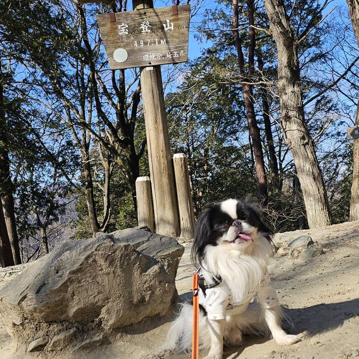 9edb1cc1 8d80 4752 9c94 6d03e14db581 1738297022044