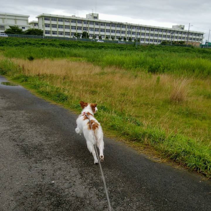 9edb2137 54c1 4ce0 8b3e 76e9b8509d0c 1563000149539