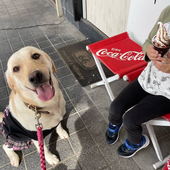 9edb4e22 fc25 4217 8656 e80b97993679 1665045134894