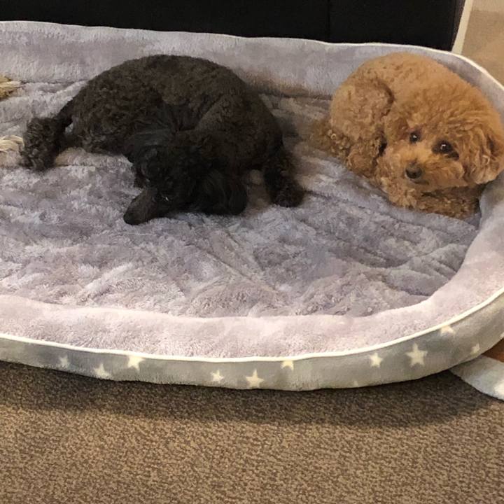 9edb5612 dcbe 4191 bada ecc0c6531e1b 1589420771958