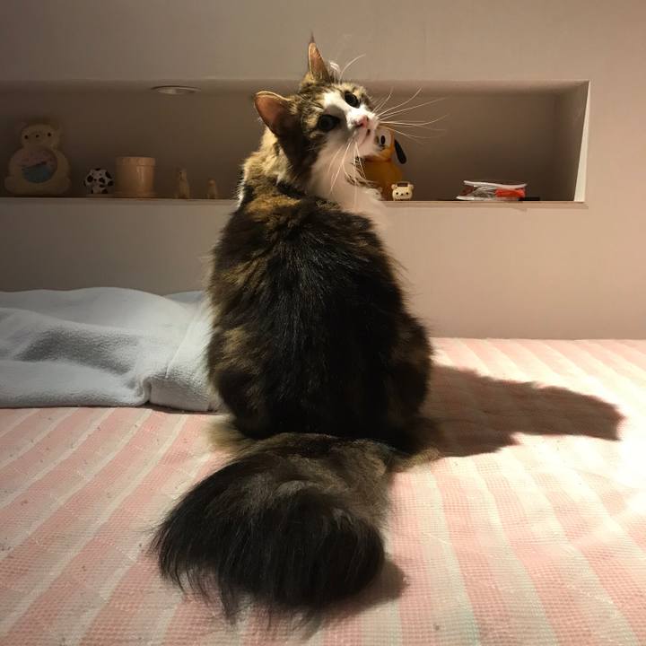 9edb8f2b 9de5 44a8 9450 9a76120989a2 1531929024118