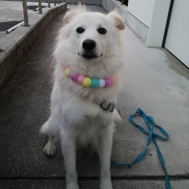 9edbc133 3cba 42e9 ae01 85c1d431ee89 1543912620473