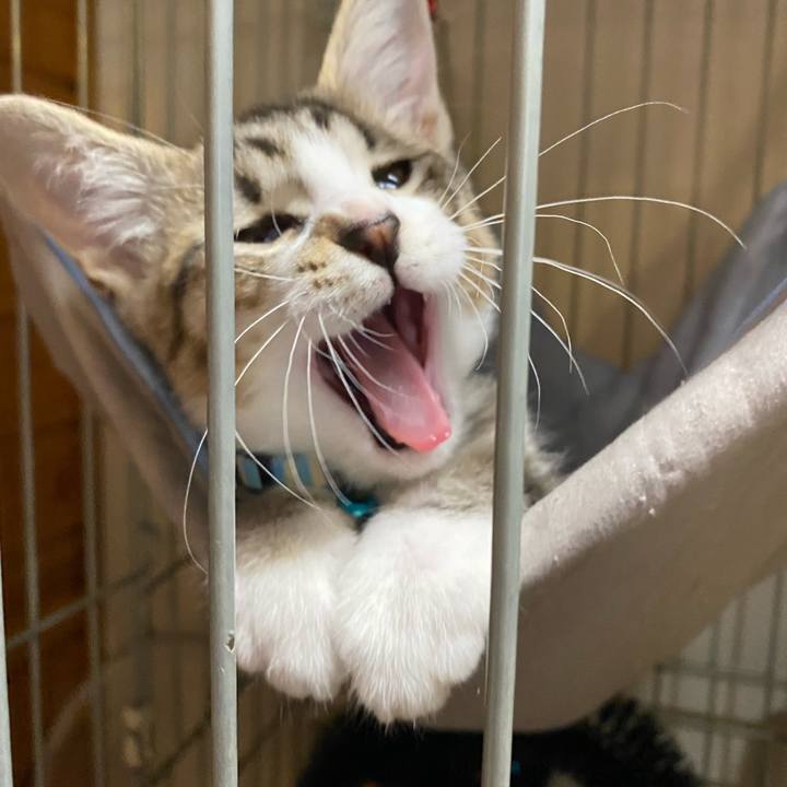 9edbe98f 7e4c 4978 905c ec5872dcb38f 1626942868341