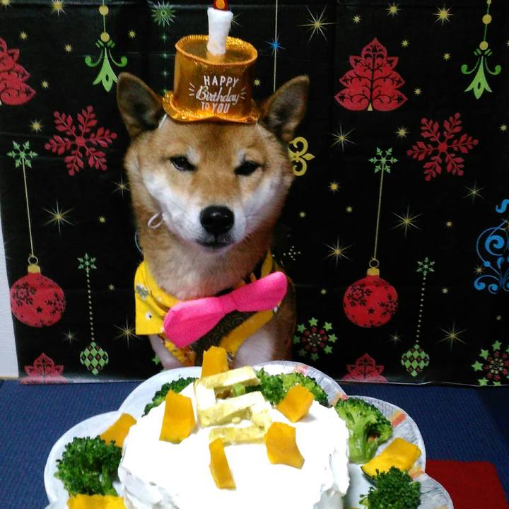 9edc1879 bfd2 4334 a9f8 d3d62bd8ebf7 1512804256885