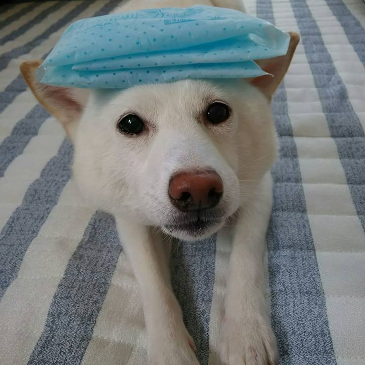 9edc37f9 0d6f 4a5e 8a49 47f01ec80f04 1596502887035