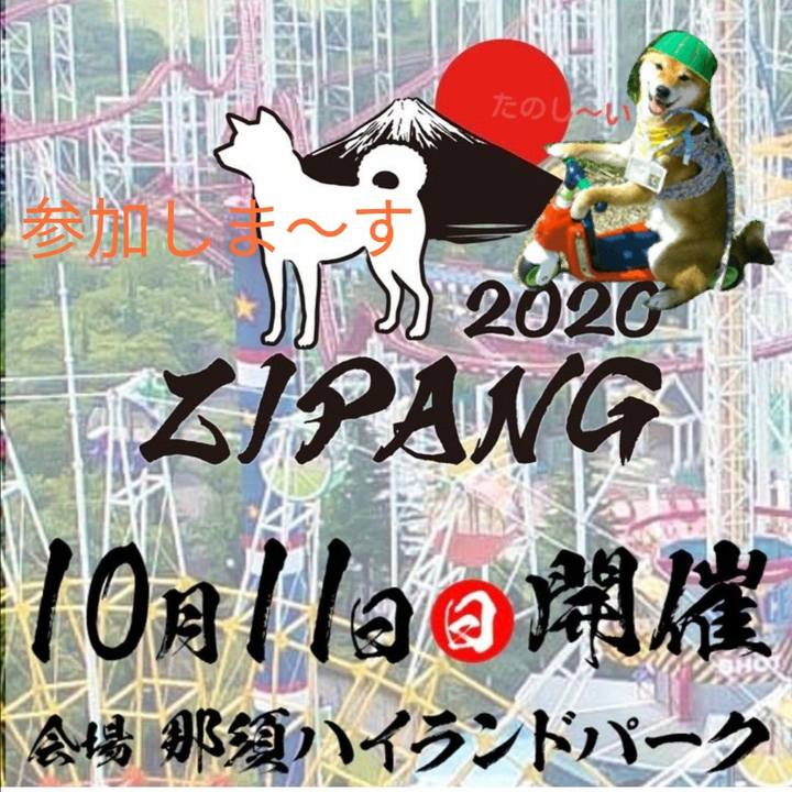 9edca97f f613 4546 98f4 5a10d1b78d71 1601711255590