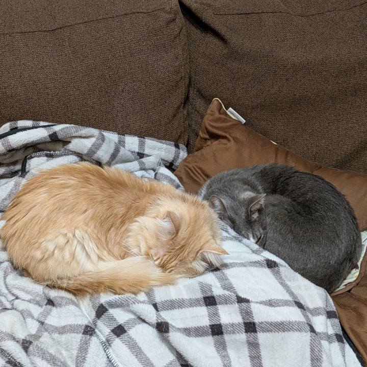 9edd8323 fd19 462d b8f3 71a637c3de48 1734351096172