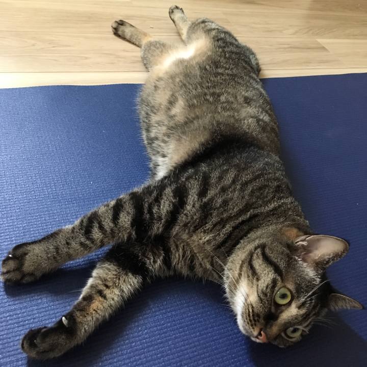 9ede3176 46f0 42b9 bb40 967bcb678a8a 1564833215310