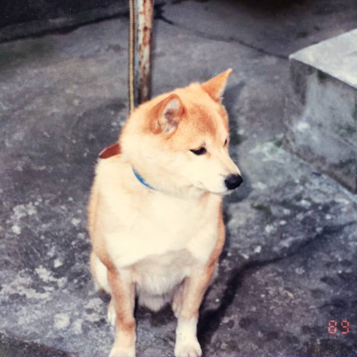 9ede978b 4aa9 4946 9324 482f9ca8f386 1522246117253