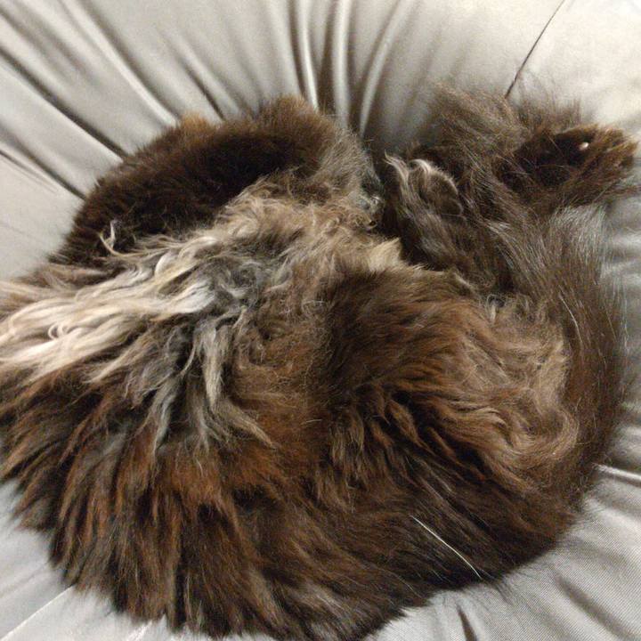 9edeb850 fc60 4987 ae05 a251d86cc8c4 1619089179459