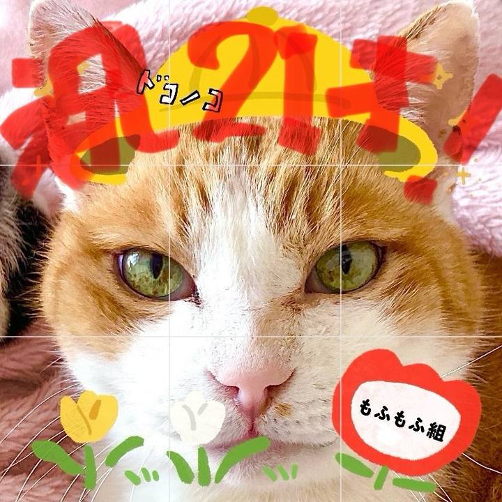 9edecae4 e2e1 41a4 8a3a f1c4c8b940e4 1712206058074