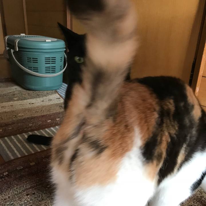 9eded94d a563 4446 8208 4ed51f261fbb 1523927677418