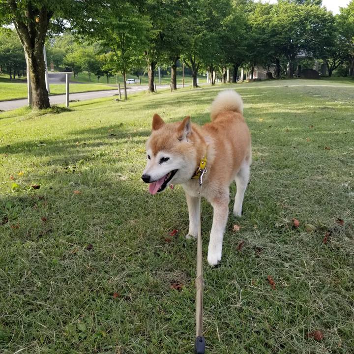 9edeee9c 7bf8 46c7 a593 ff37a8d05cd7 1688631875669