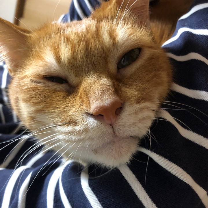 9edef2e3 d1b2 40a8 b243 34bd53101e0e 1710152839741