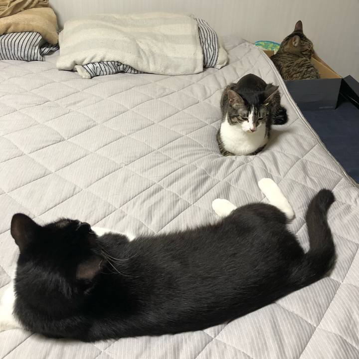 9edef3d0 6d9b 415d bd00 c7e079dae617 1535984028525