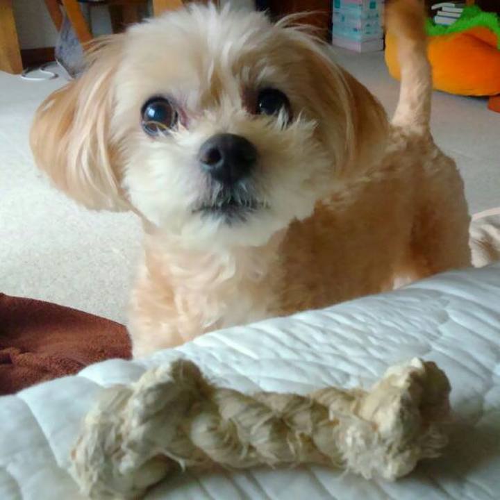 9edefa4e 1752 4360 a10d 17caec516fe8 1563612210086