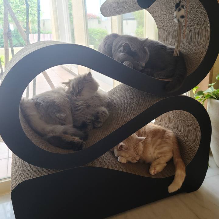 9edf0fac 90c1 4128 bb58 d5b306541d67 1622683792559