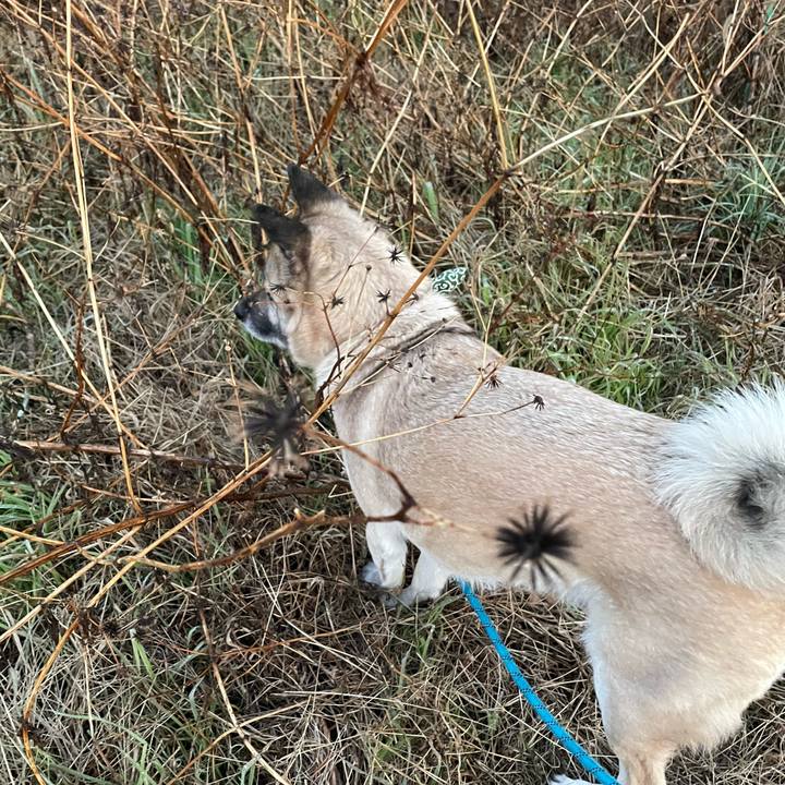 9edf1d36 58da 4557 a459 85dcac3143ab 1675857992341