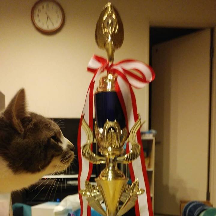 9edf38e1 bed5 46f3 bb55 df3d3cddf2eb 1574597893202