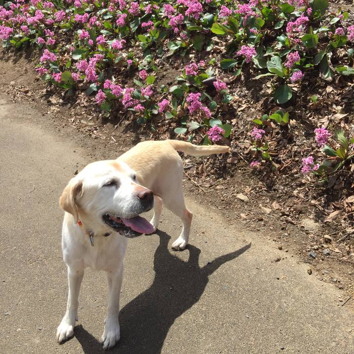 9edf3c20 90ba 47cf a350 01796805a780 1621920607126