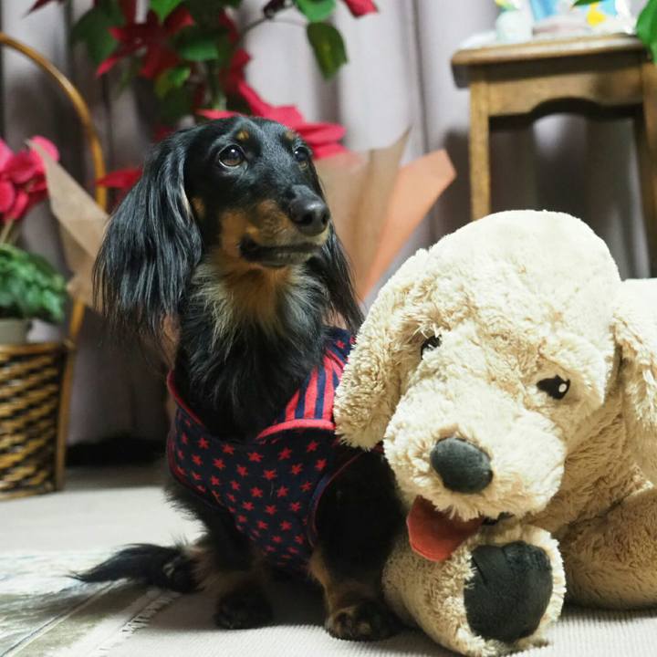 9edf89ba 33c9 4a26 9c07 fa77557af1b5 1551442576297