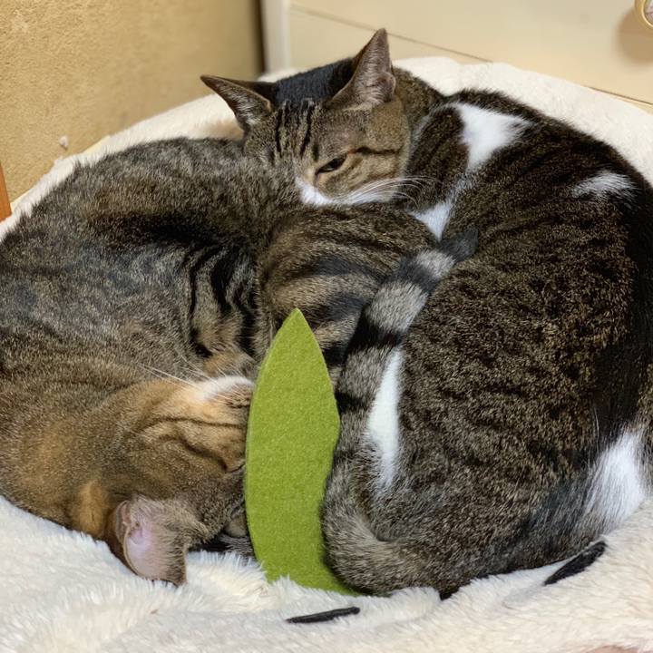 9edfc24a a7c0 44dd aac7 c306968eaf65 1540518914297