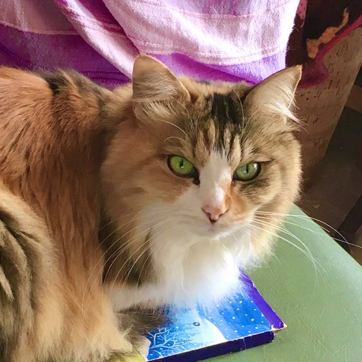 9edfcc91 a2e7 4098 a9e8 285687e6c295 1613631001918