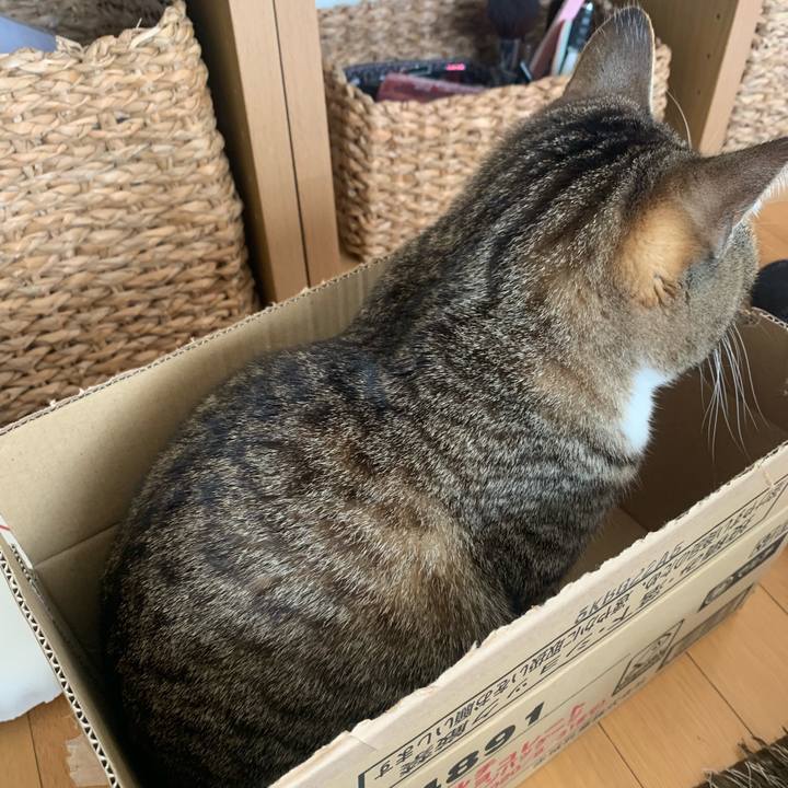 9edfdada 98ba 4771 8527 69221f4b096d 1581941138982