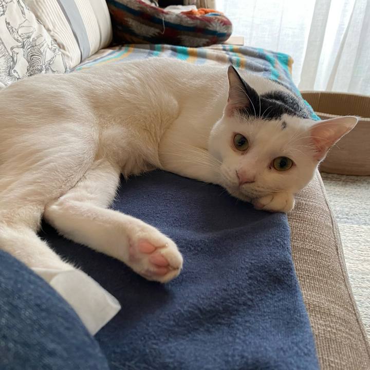 9edfef6b 8654 4fdc 8319 468e62f51605 1684128226763