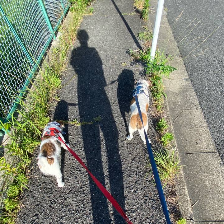 9edfefdf 23c1 4335 97c0 7ee798ef2e62 1656372691526