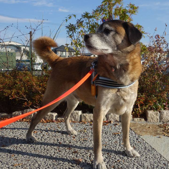 9ee01140 5d38 42d4 8fc0 2165567509d2 1622335181032