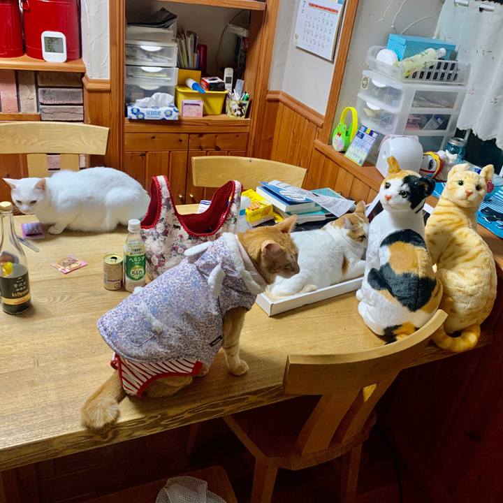 9ee01e9e 28c7 4a3a 9656 6758a79dc826 1595339505270