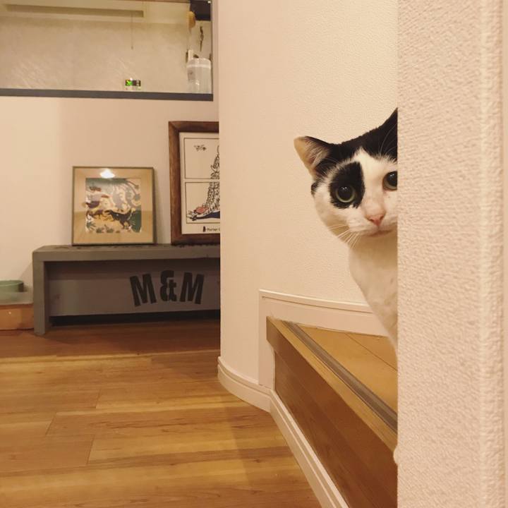 9ee0bc49 b61f 4a3e abf2 8bbca48ec8aa 1610359473077