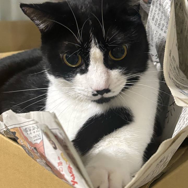 9ee0c649 ae84 4179 8c19 fa6905897c4f 1763088259796