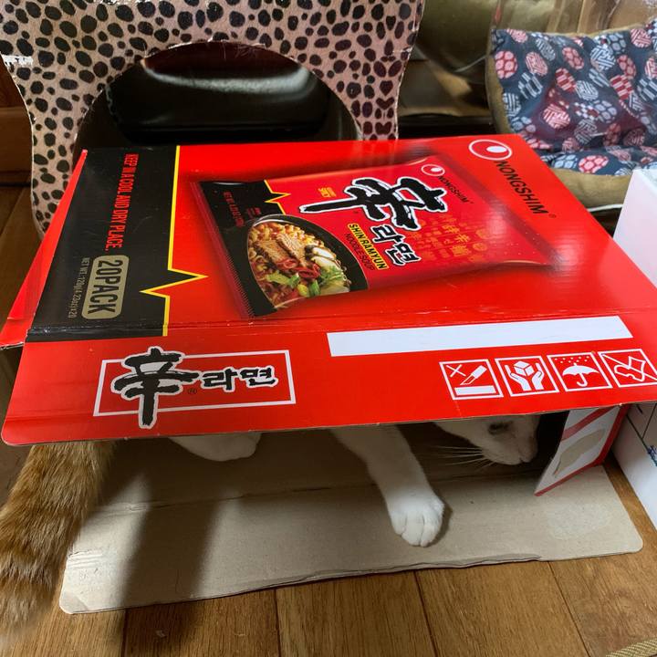 9ee0c7cb ff94 464a be43 6d60745592e5 1604582867524