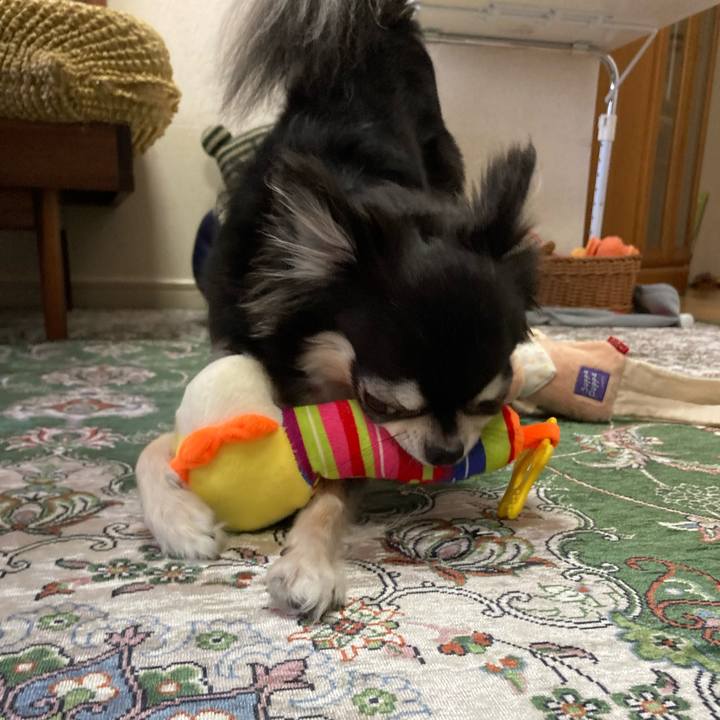 9ee0d724 57df 4396 aed5 6e8994cb36ef 1660401033304