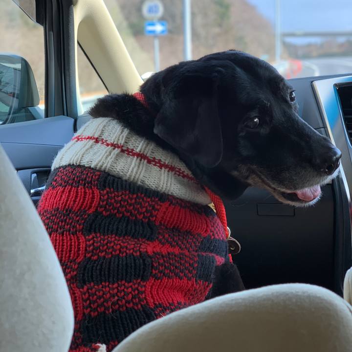 9ee12997 f794 482f a5d1 492d6f193757 1581217421201