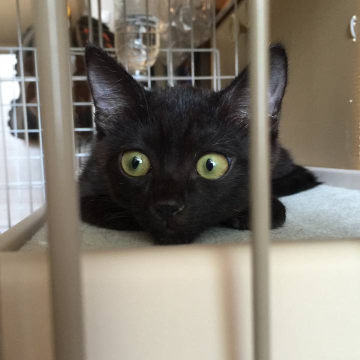 9ee137ba 87ee 491f 9197 230f51983df8 1550234279187