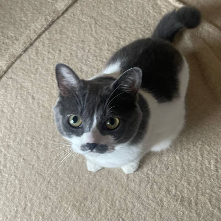 9ee150d4 d7c3 4916 a89b 8d36164fc6c2 1724973768822