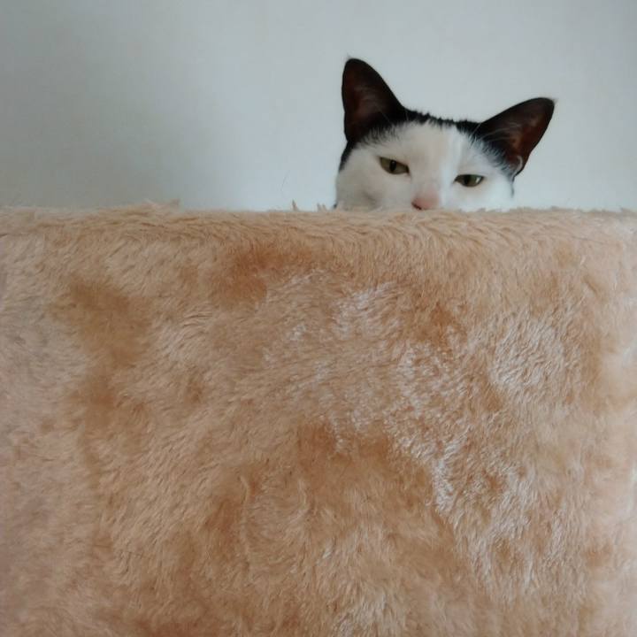 9ee17e52 425c 48c0 a12c 43e8772eecdd 1599725036786