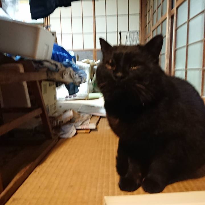 9ee193e8 be0a 456e 945b f3c2edc647aa 1615200183904