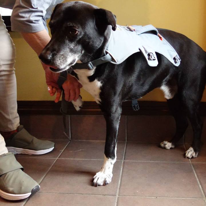 9ee1965a 7ae8 4a76 b28c a8e6c61e5e0c 1748391627386