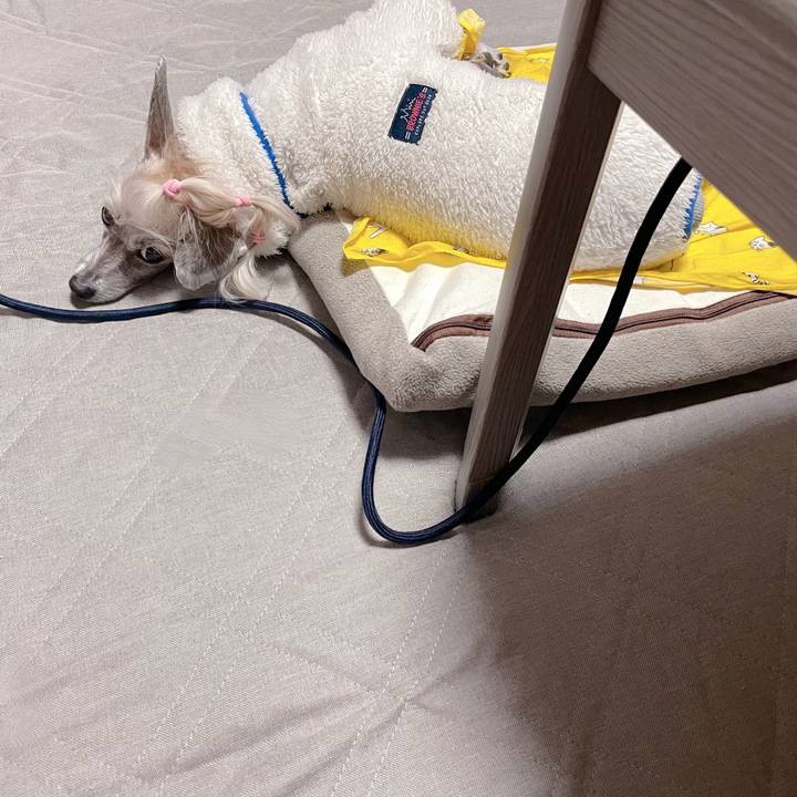 9ee1b865 1152 4adc be72 e749097354a7 1767762567074