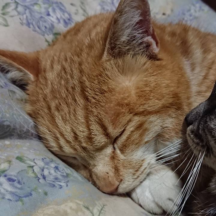 9ee1e821 1e52 4ac9 b414 cf6f21d2ccb6 1579435638628