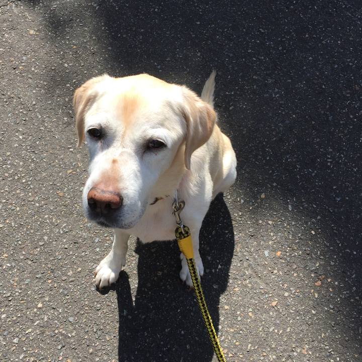 9ee20514 74d3 4a71 a553 9f9593b816c3 1565917175520