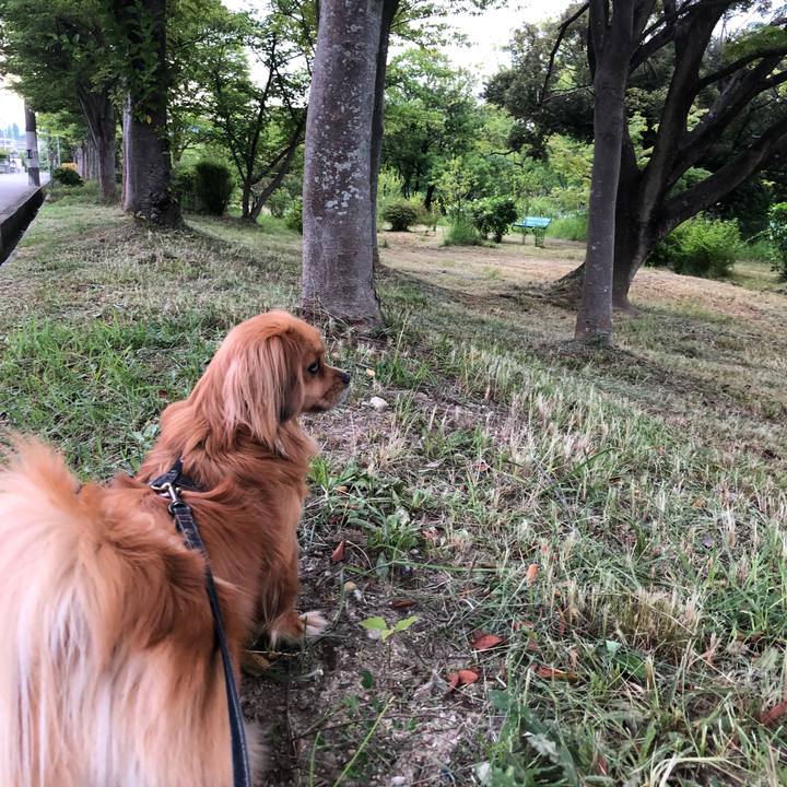 9ee21ca8 890e 4335 bfae 7aa0d500395b 1529702223572