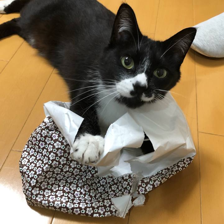 9ee23a61 3f3f 4554 a42e c61f6a0d69f2 1625801379426