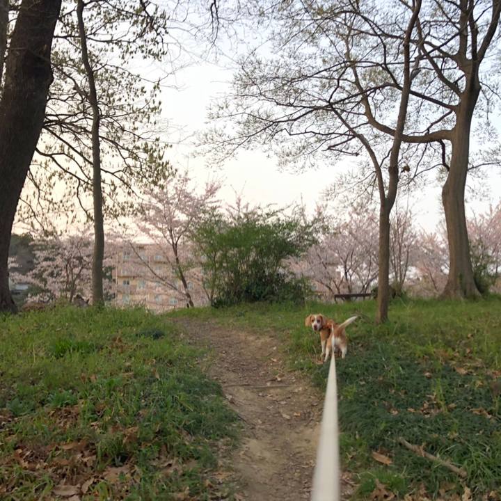 9ee2c7c5 4ab6 4257 bf67 a23edd6c57e8 1554711376370