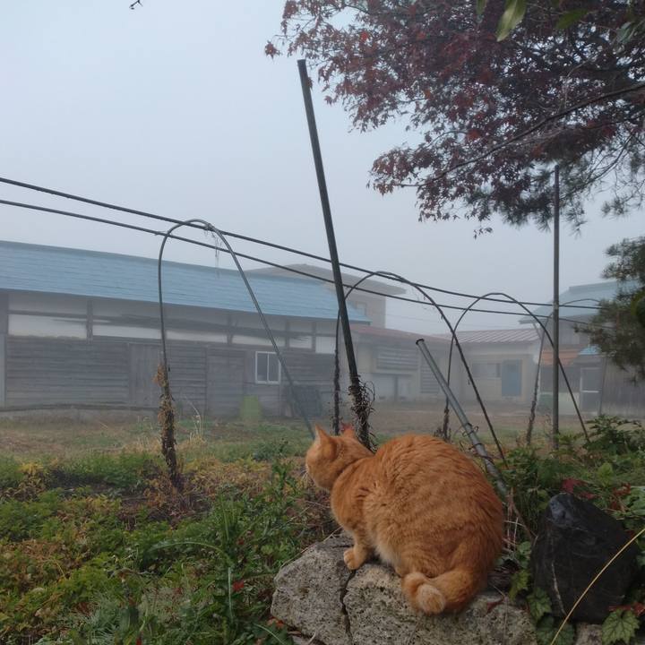 9ee2c9a9 b060 49c5 bd5b 5b0abac22948 1668204827581